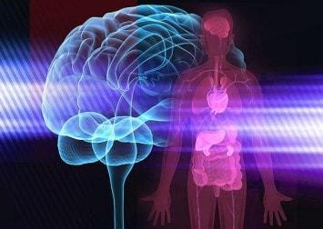 Alimentación consciente para mente y cuerpo